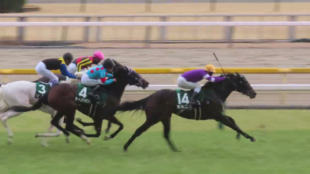 2016年 桜花賞（GⅠ） | ジュエラー | JRA公式 - YouTube