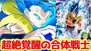 BM10弾SECゴジータ:BM(SSGSS•進化)を使ってみた！【スーパー