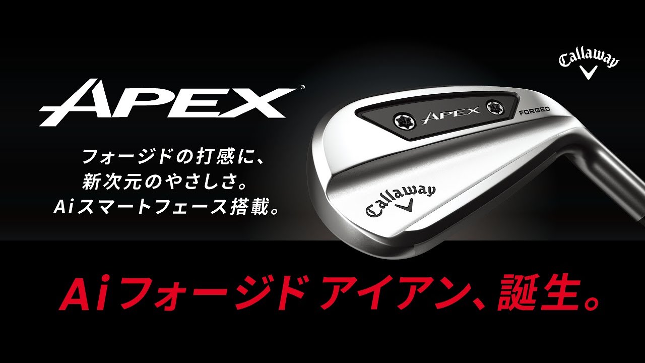 APEX Ai200 アイアン(6本セット) N.S.PRO MODUS3 TOUR 105(アイアン