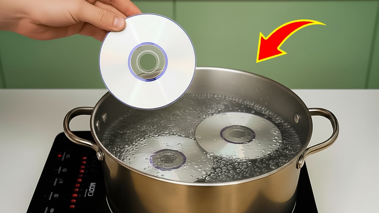 猫耳戦姫アカネックス ―AKANEX―（猫耳戦姫シリーズ第1巻