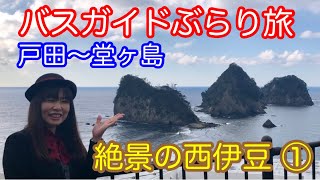 Bus Guide Travel Vol.46 The Spectacular Scenery of Nishiizu (Part