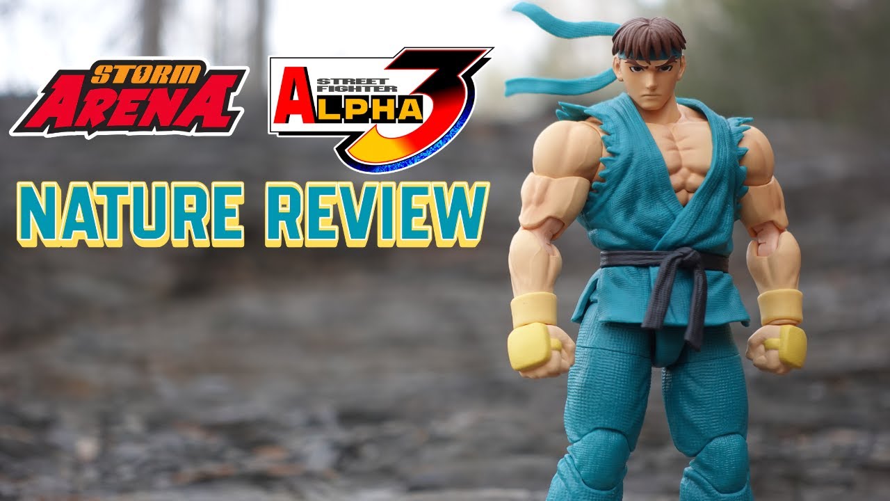 STORM ARENA STREET FIGHTER ALPHA 3 WONDER FESTIVAL 2025 EXCLUSIVE