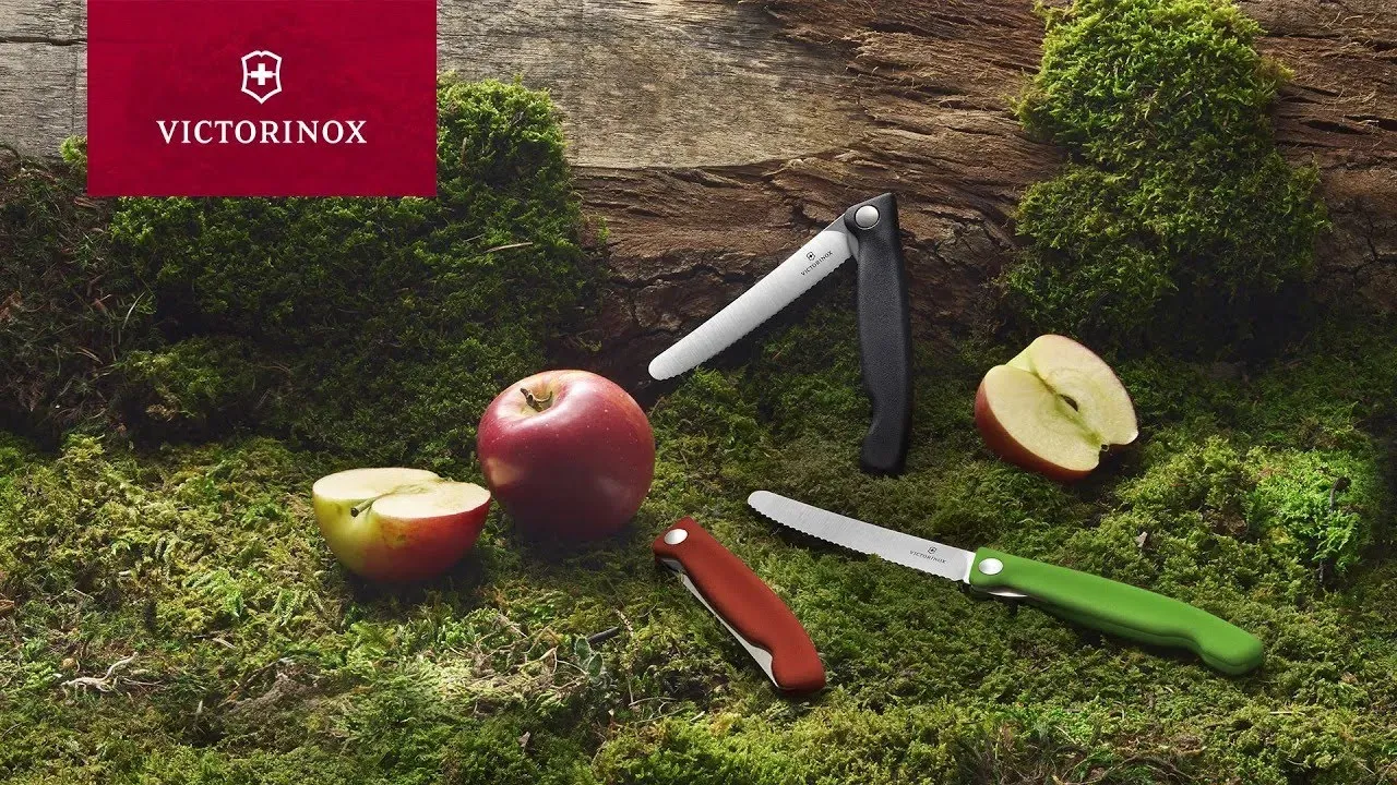 Victorinox Swiss Classic Picnic Knife, 4 in in Green - 6.7836.F4B