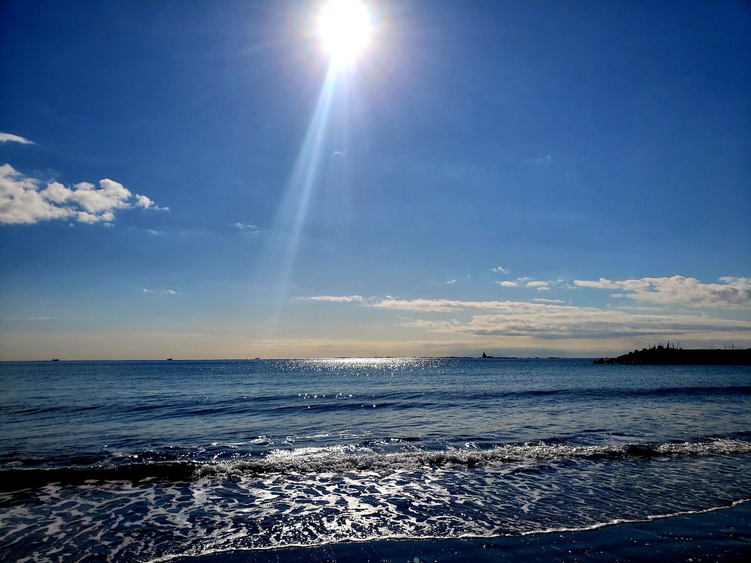 2022年1月– 茅ヶ崎夕陽美術館Chigasaki Sunset Museum 茅崎夕陽美術館