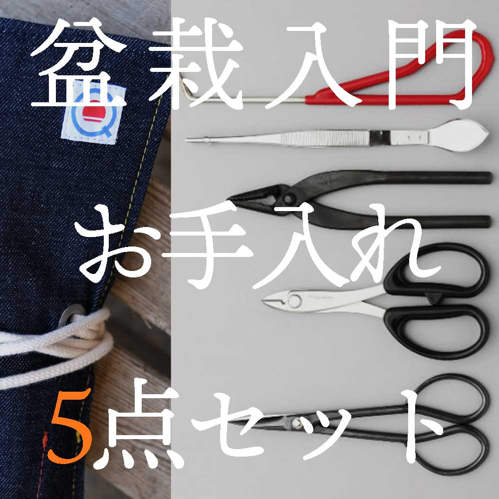 初心者の盆栽道具の選び方。（ひっそりと）販売始めました。 – 盆栽Q