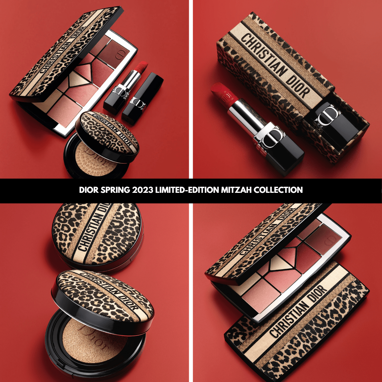 Sneak Peek! Dior Spring 2023 Limited-Edition Mitzah Collection