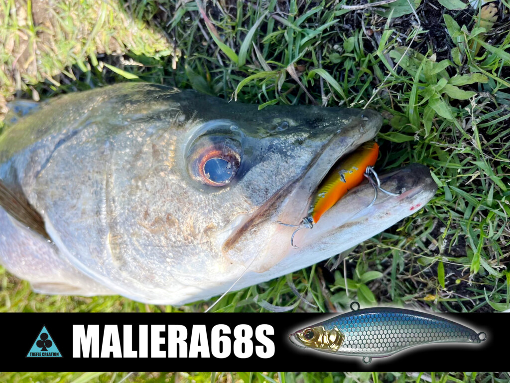 シーバスファン必見】トレフルクリエーション「マリエラ」の釣りフェス