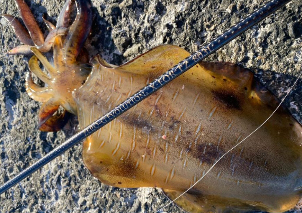 ロッドの曲がり”を存分に楽しめるエギングロッド！「ZERO-G EVOLUTION