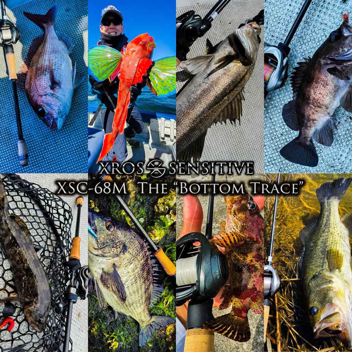 発売直前情報】G-TECクロスセンシティブ新作ロッド「XSC-68M ボトム