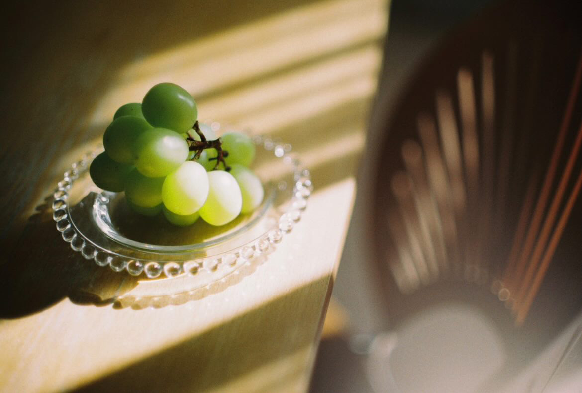 作例レビュー】Nikon F｜ニコンのフィルムカメラ｜#わたしのカメラ