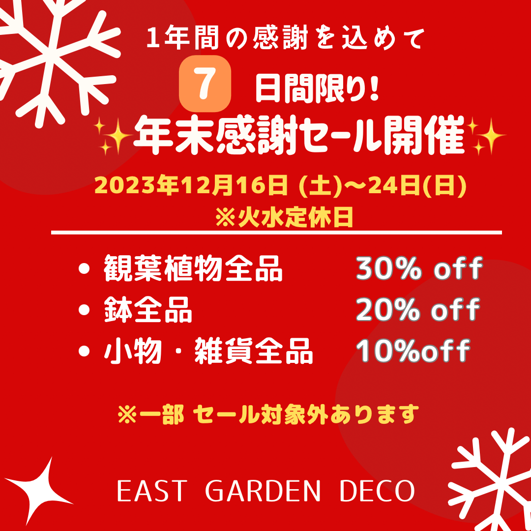 年末感謝祭セール開催 - 観葉植物・インテリアグリーン専門ショップ
