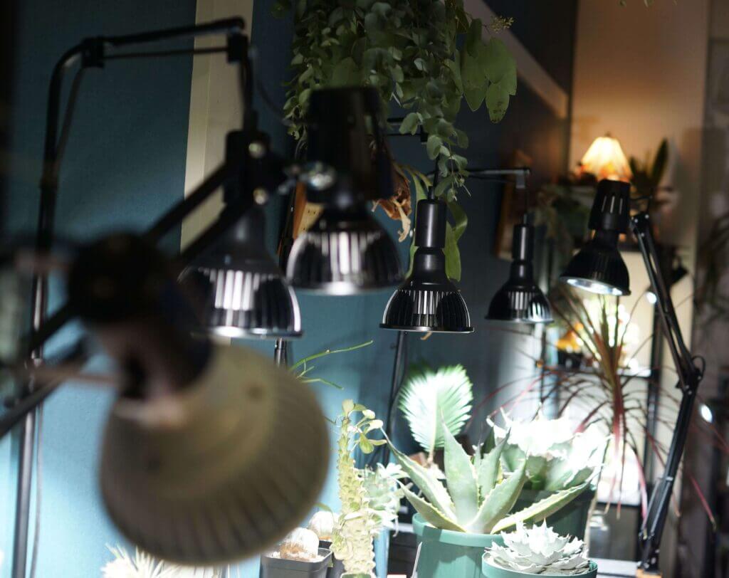 AMATERASLED（アマテラス）におすすめのスタンドを4つご紹介｜ELBAZ FARM