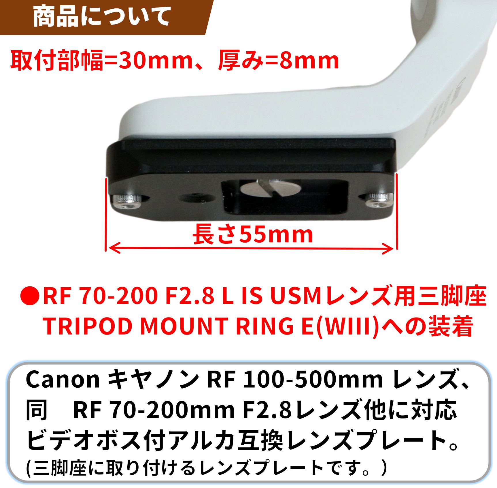 キヤノン RF 100-500mm レンズ / RF 70-200 F2.8レンズ対応 レンズ