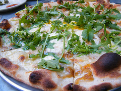 Gjelina | my last bite