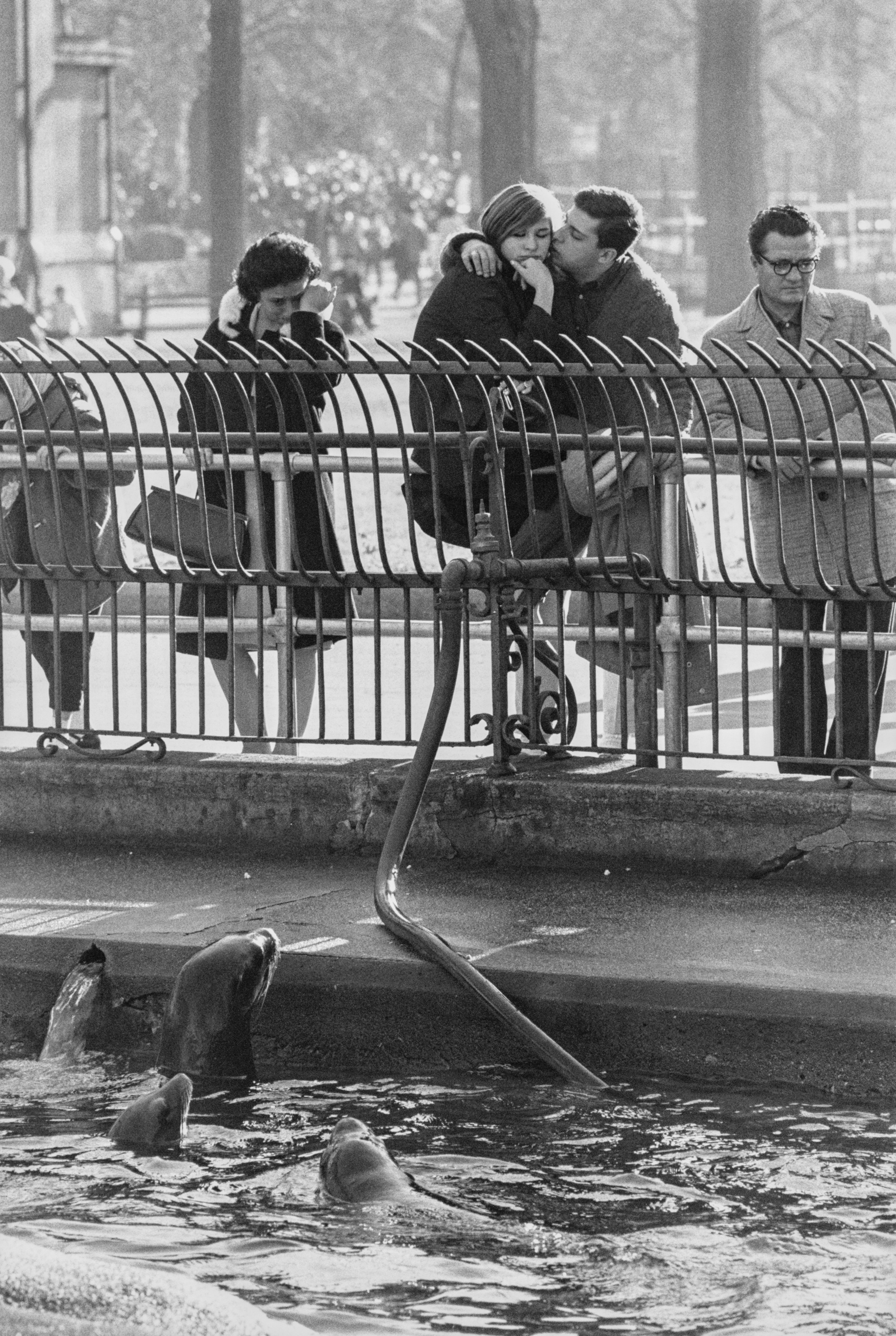 Garry Winogrand: The Animals | Fraenkel Gallery