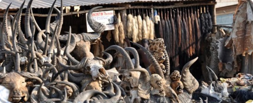 ブードゥー教の魔術や儀式に使うグッズが何でも揃う、フェティッシュ