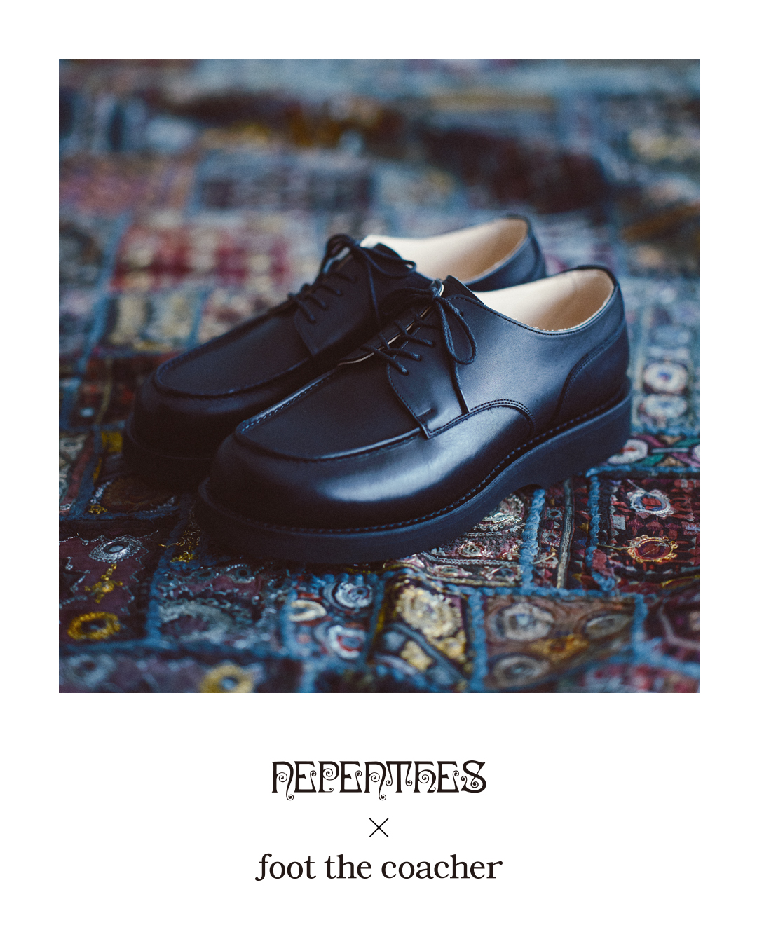 SPECIAL RELEASE: Nepenthes × foot the coacher – Nepenthes Los Angeles