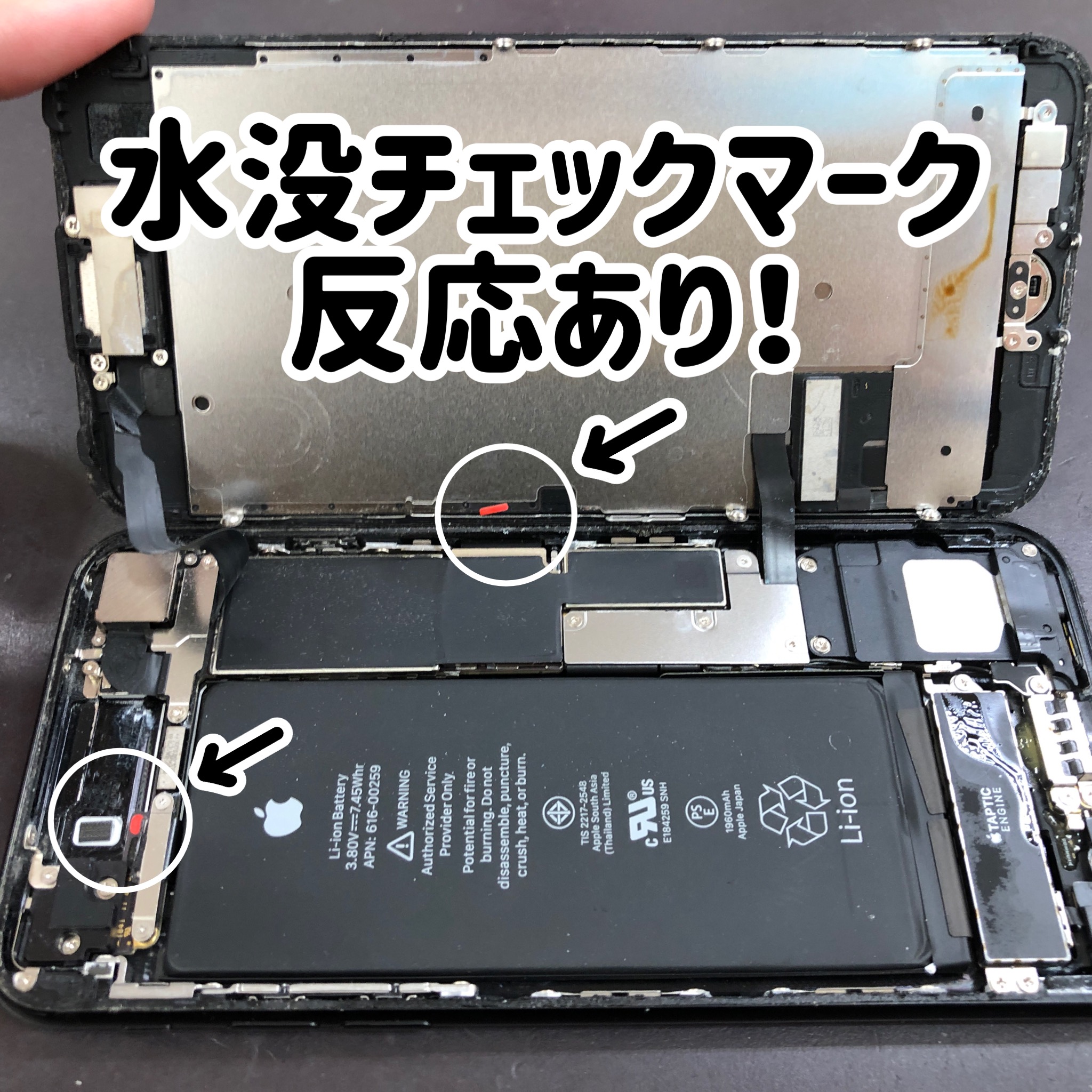 iPhoneの水没はどのように確認すればいいのか？解説！