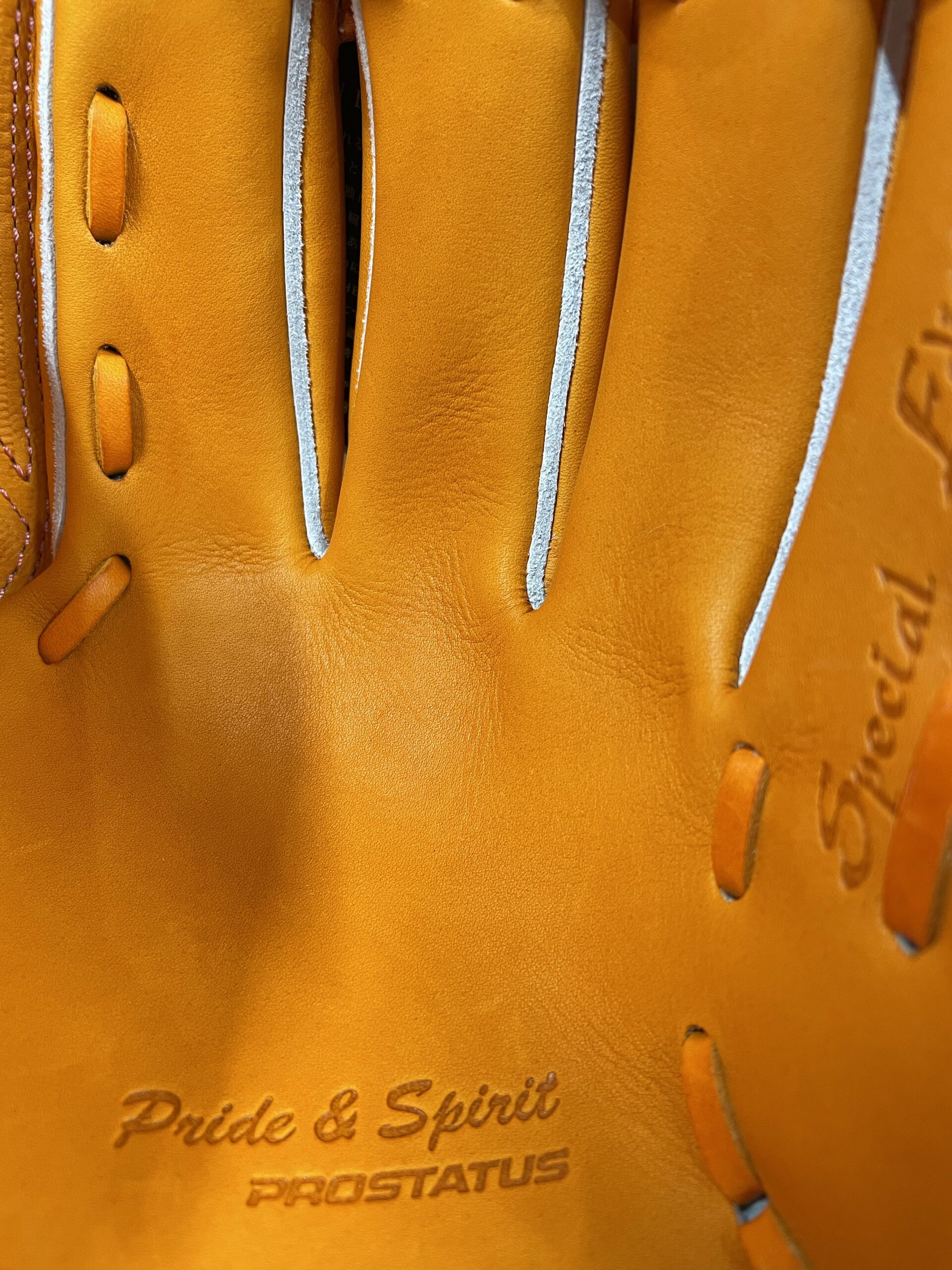 グローブ】プロステイタスSE～Special Edition～BPROG21Sについて | 超