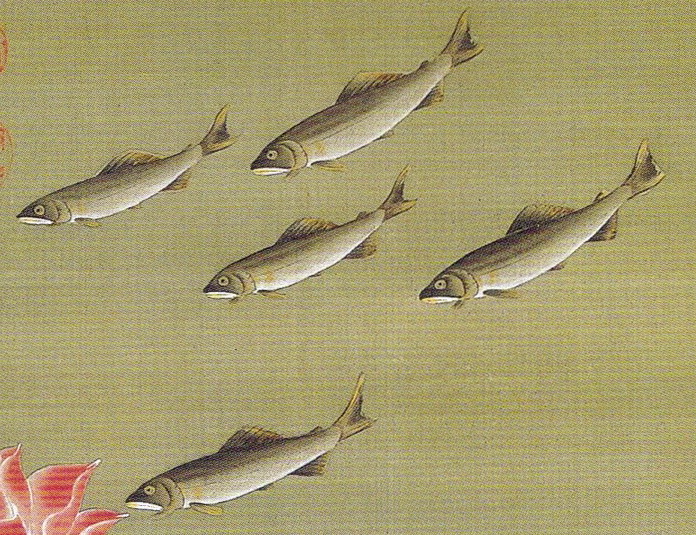 動植綵絵 17 蓮池遊魚図 Renchi Yugyo-zu(Lotus Pond and Fish) | 伊藤