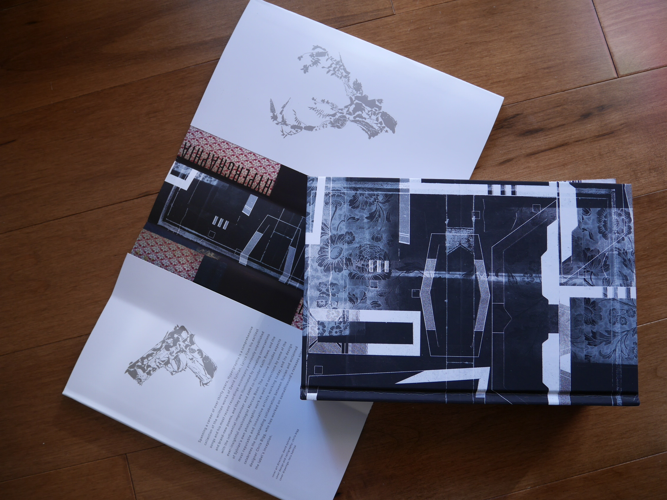 Hypergraphia: The Writings of David Sylvian 1980–2014