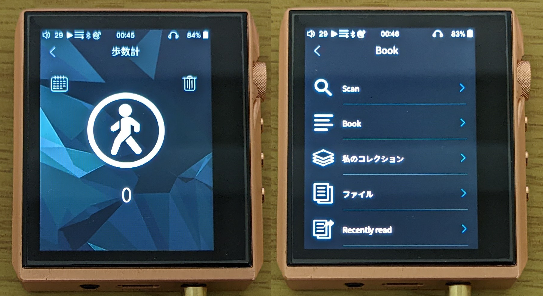 HIDIZS AP80 PRO-X（Red Copper Limited Edition）の実機レビュー