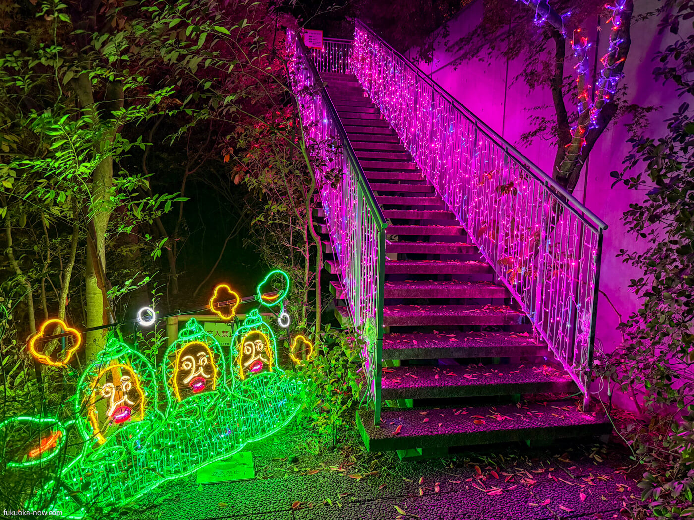 KOBITOS Zukan x ACROS Fukuoka Winter Illumination - Forest of