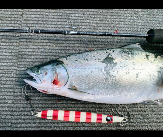 シーズン開幕直前！テイルウォークから登場の新作ロッド、サクラマス