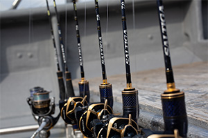 ライトジギングロッドの最高峰「SALTIGA（ソルティガ）LJ」に新機種が