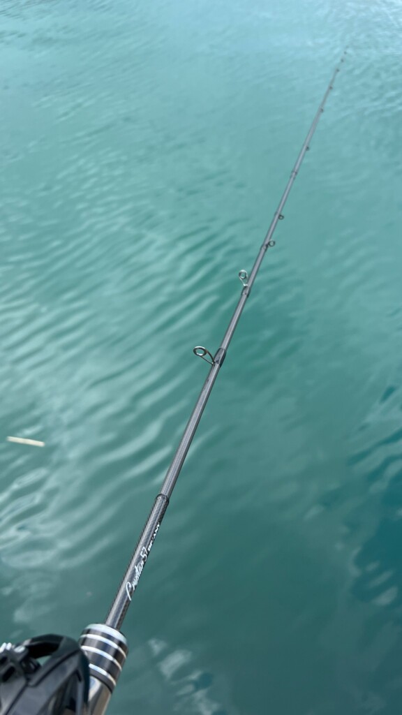 ハイスペックながら低価格】こだわりスギなベイトフィネス入門ロッド