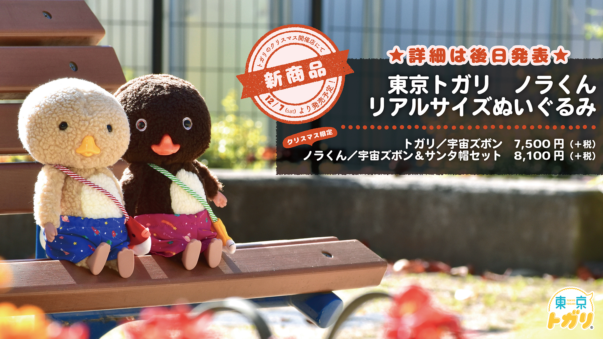 トガリのクリスマス〜ノラくんがおうちにやってくる！〜 | Tokyo