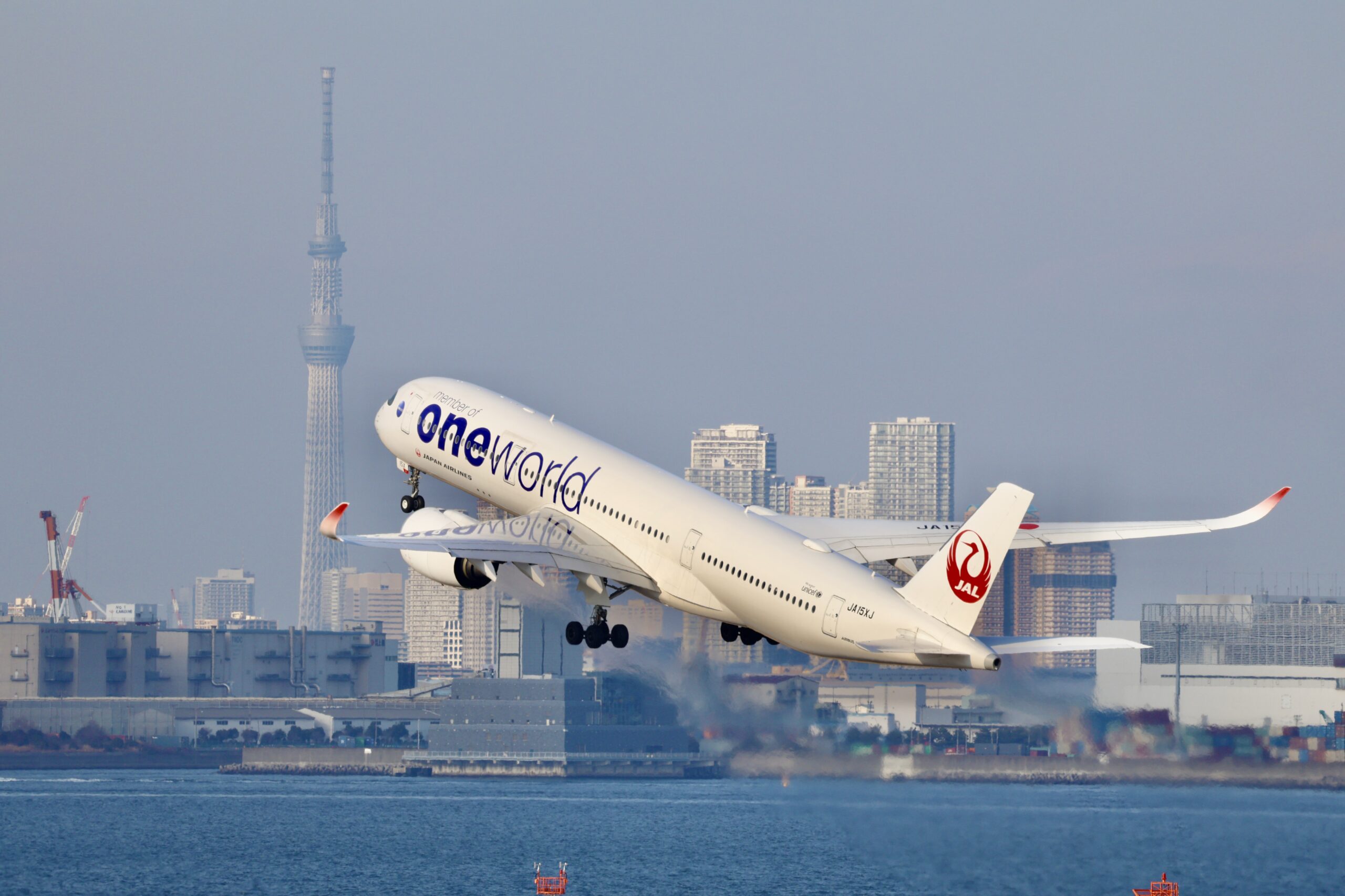 JAL初のエアバス社製の飛行機「エアバスA350-900」／JAL / たかみーの