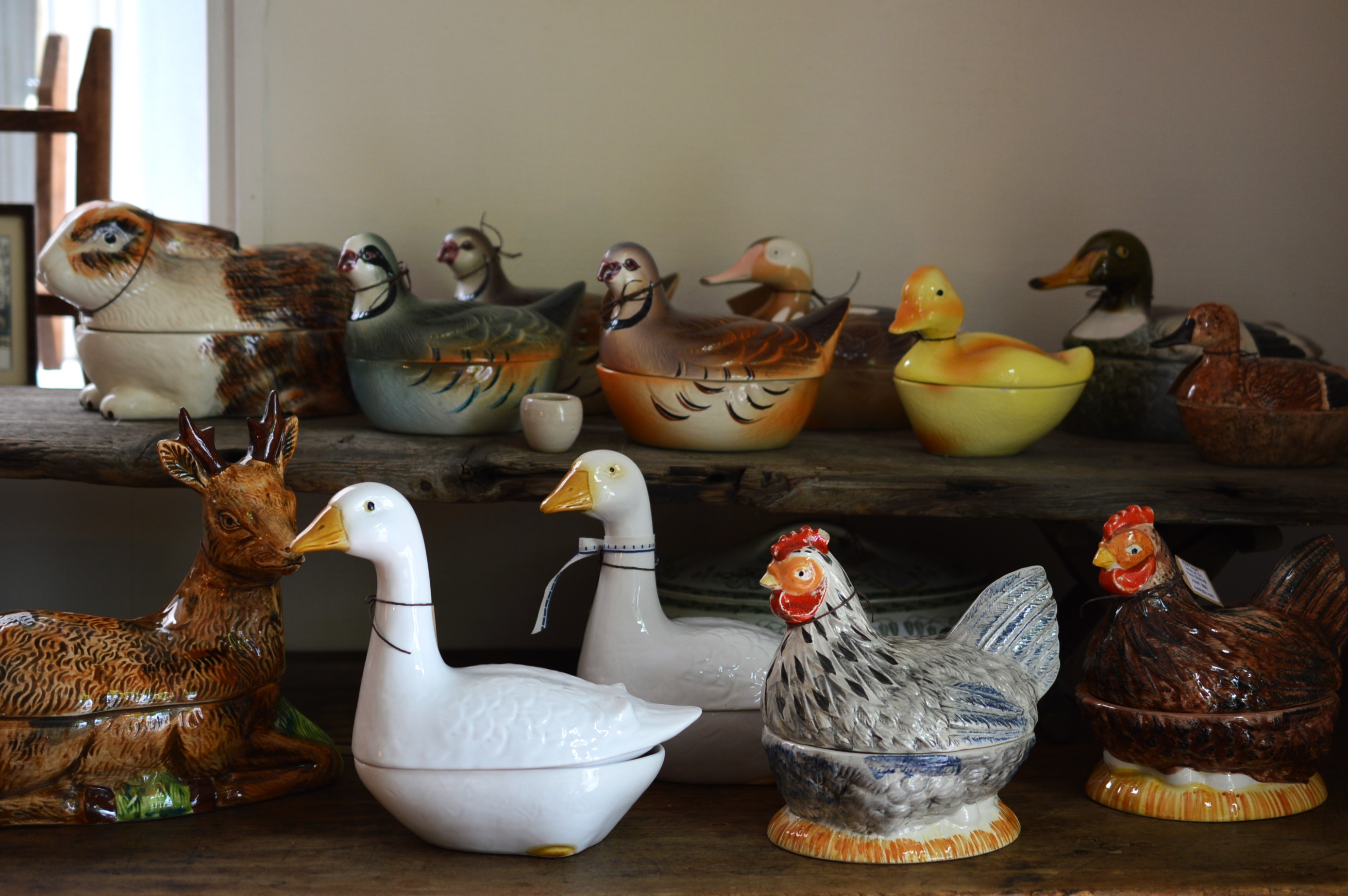 DSC_0002-5.jpg?resize=790,525&