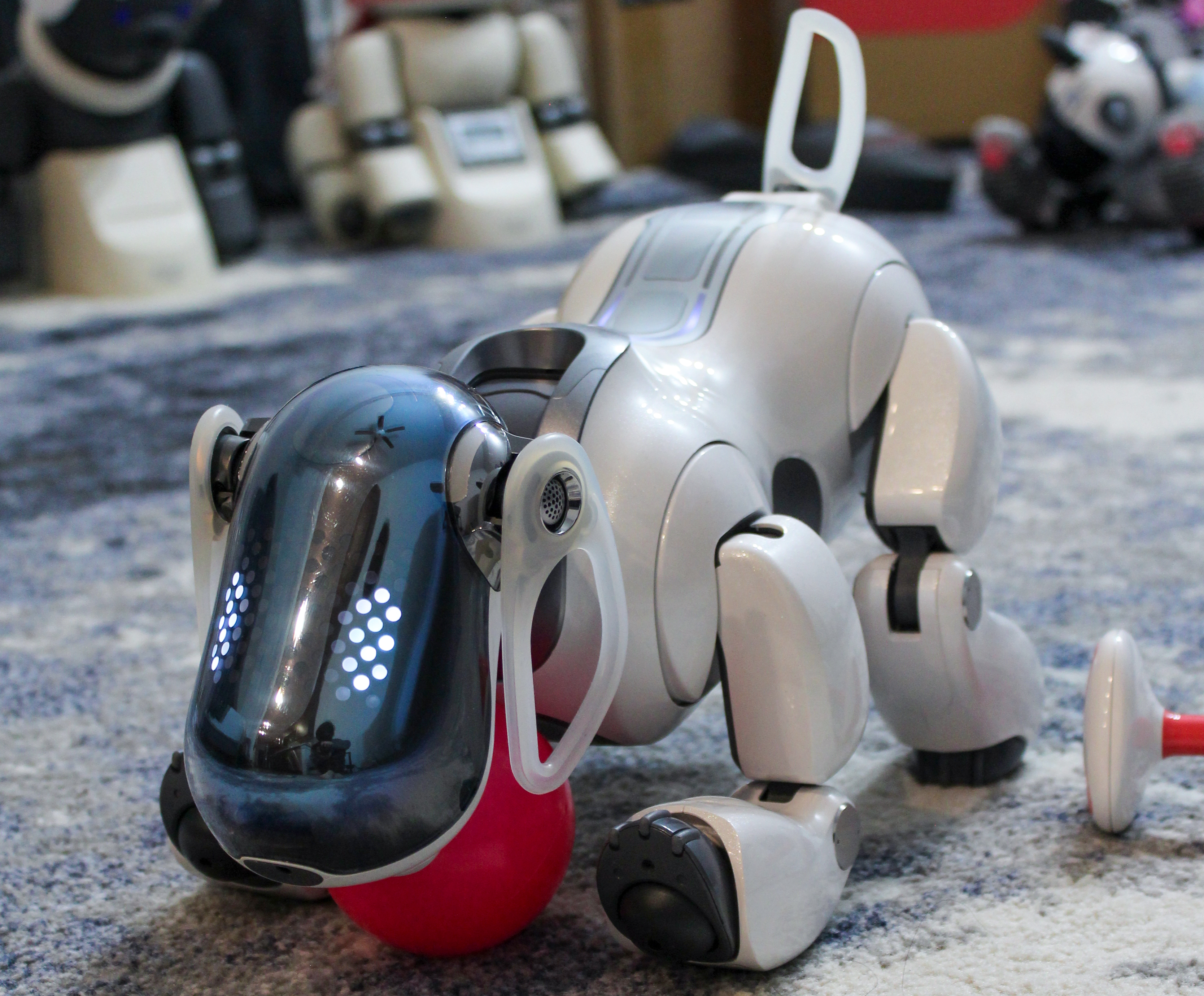 ERS-7 Aibo Overview | Learn About Aibo | Virtual Paws