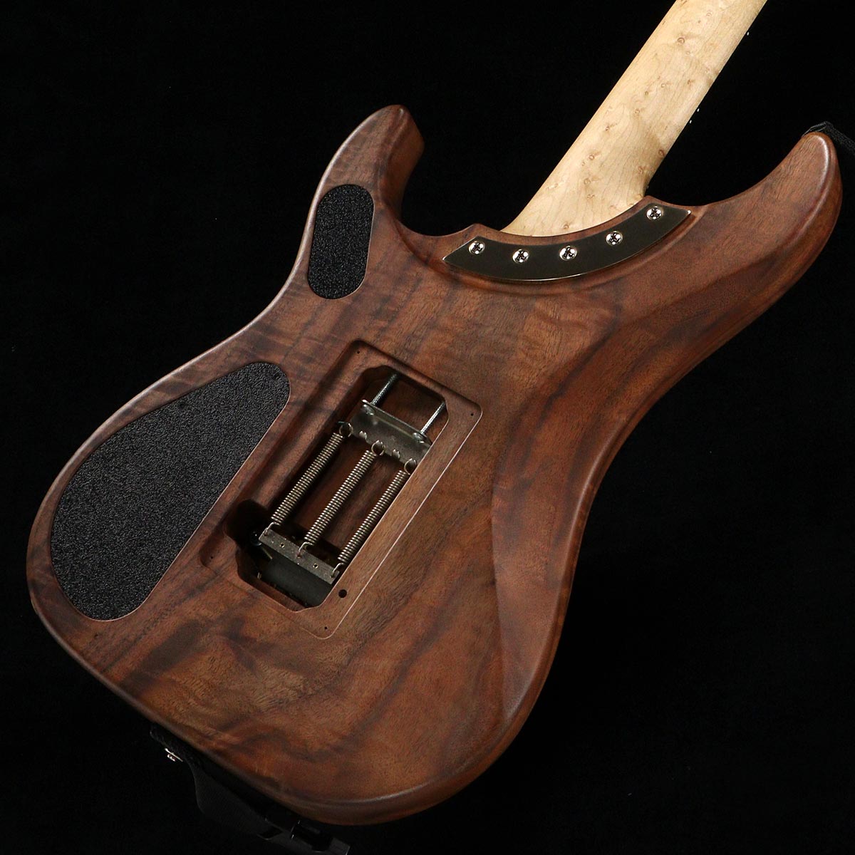 Washburn Nuno Models Diary Vol.20 Walnut – GuitarQuest イシバシ