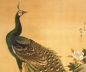 孔雀 牡丹図】絹本著彩 立幅 | 小山美術