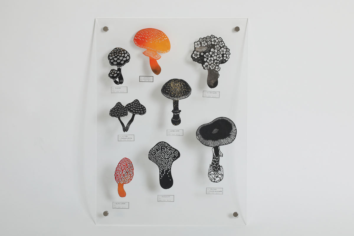 きのこ切り絵標本アソート | 竹村東代子| Toyoko Takemura| アートを