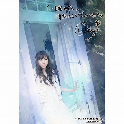 鈴木このみ ブロマイド CD｢CHOIR JAIL｣ アニメイト特典 – 声優・2.5