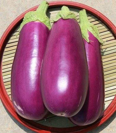 絹むらさき茄子 | ナスの育て方.com