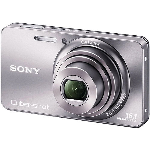 Sony Silver Cyber-Shot DSC-W570 Compact Camera with 16 MegaPixels