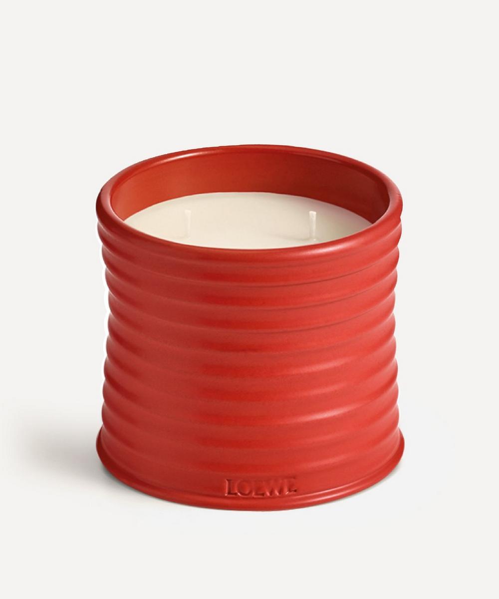 Loewe Medium Tomato Leaves Candle 610g | Liberty