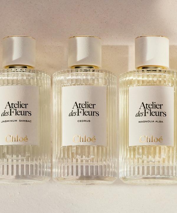 Chloé Atelier des Fleurs Magnolia Alba Eau de Parfum 50ml | Liberty