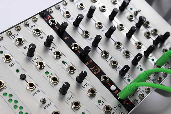 WORLD SYNTHESIZER #47：世界初、猫の鳴き声を生成する“キャット