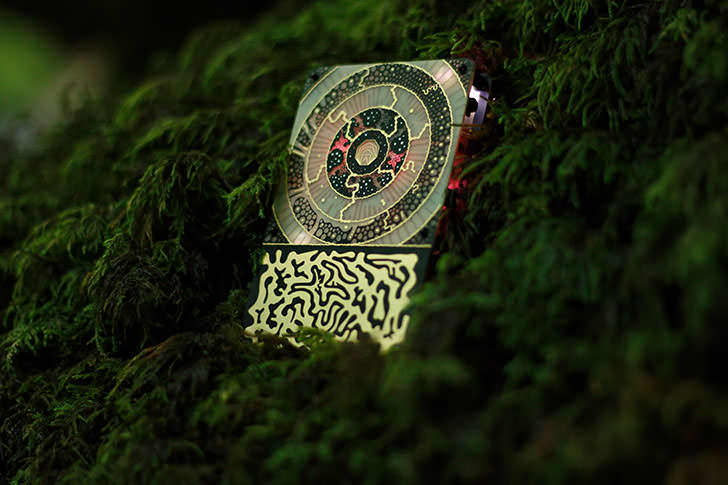 植物や人間など、生体との接触で得られる“バイオフィードバック信号”で