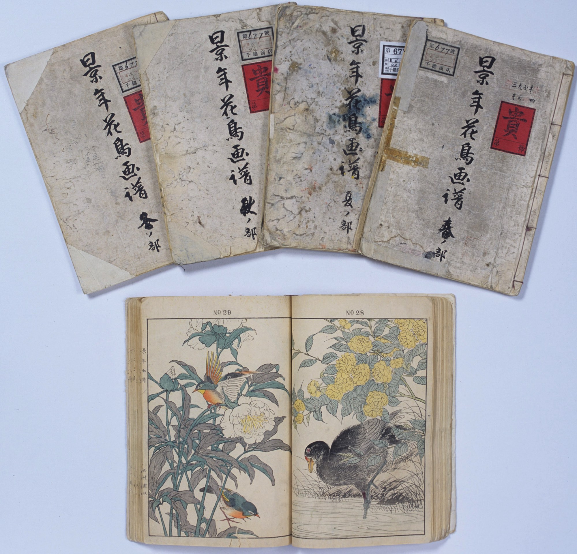 有形文化財 – 近代化を支えた画家 - 千總文化研究所 / Institute for