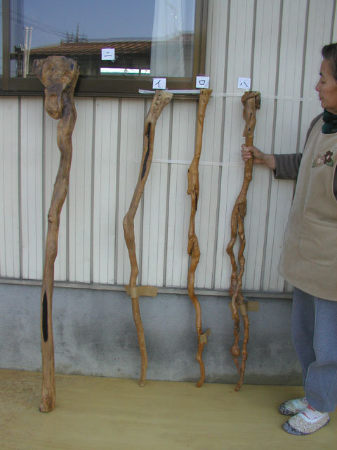 6369 材料 (ア)黒檀 杖 天然銘木(上) 白太付き 自然 釈杖、仙人の杖 [4