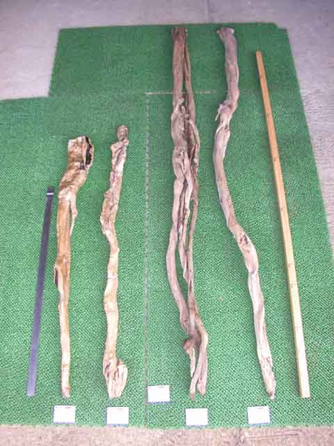 6369 材料 (ア)黒檀 杖 天然銘木(上) 白太付き 自然 釈杖、仙人の杖 [4