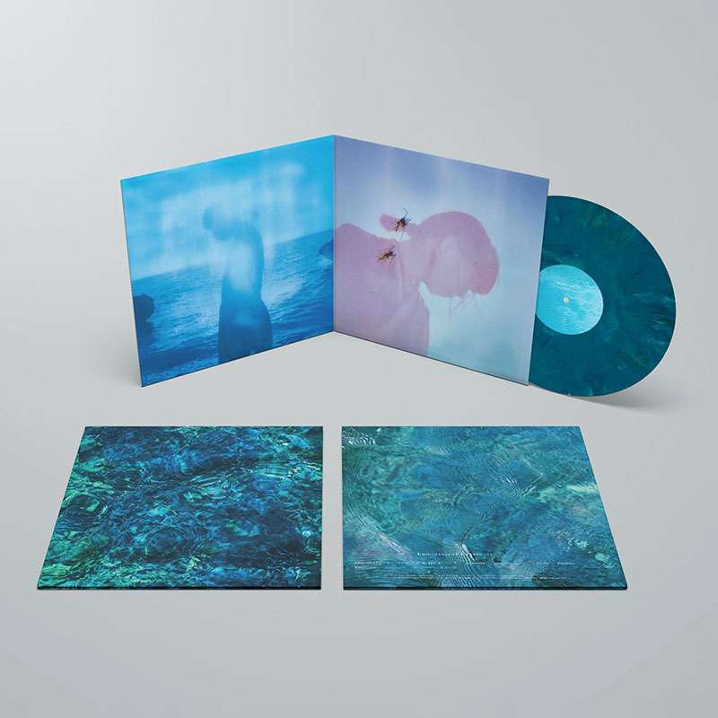 青葉市子 - 公式ウェブサイト - Ichiko Aoba