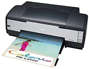 EPSON Colorio インクジェットプリンター PM-G4500 A3ノビ対応 6色染料