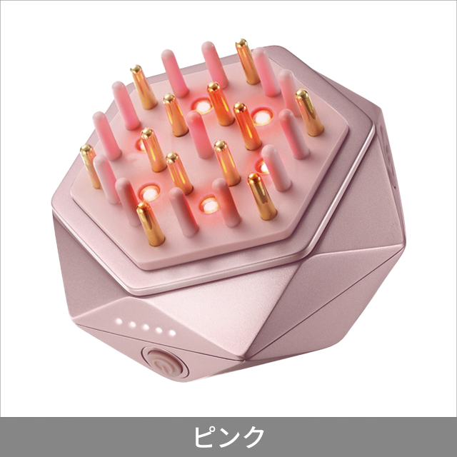 アテックスルルド EMSリフトブラシ AX-NBL506 美顔器 EMSケア 頭皮ケア